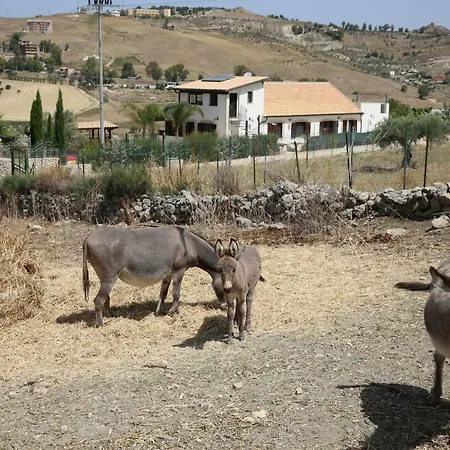 Fattoria Degli Asinelli 