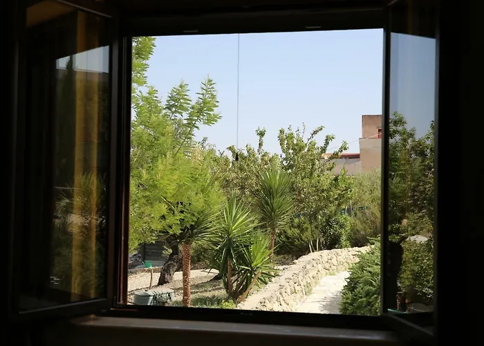 Fattoria Degli Asinelli 