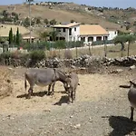 Fattoria Degli Asinelli 