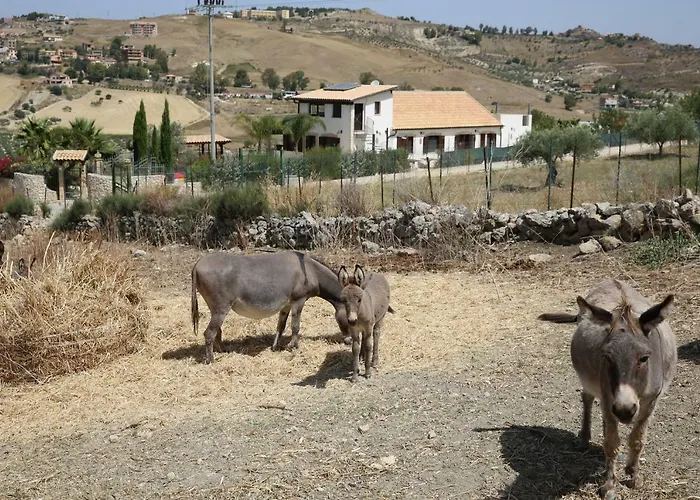 Fattoria Degli Asinelli 